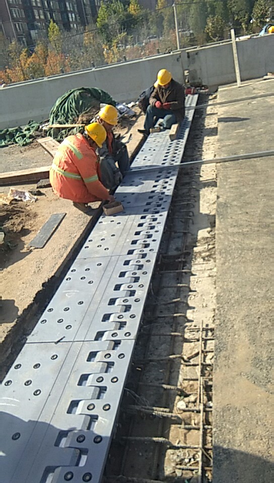 1586454984932842.jpg 557fe9c5d4977ed7a3c50c4c938f376.jpg