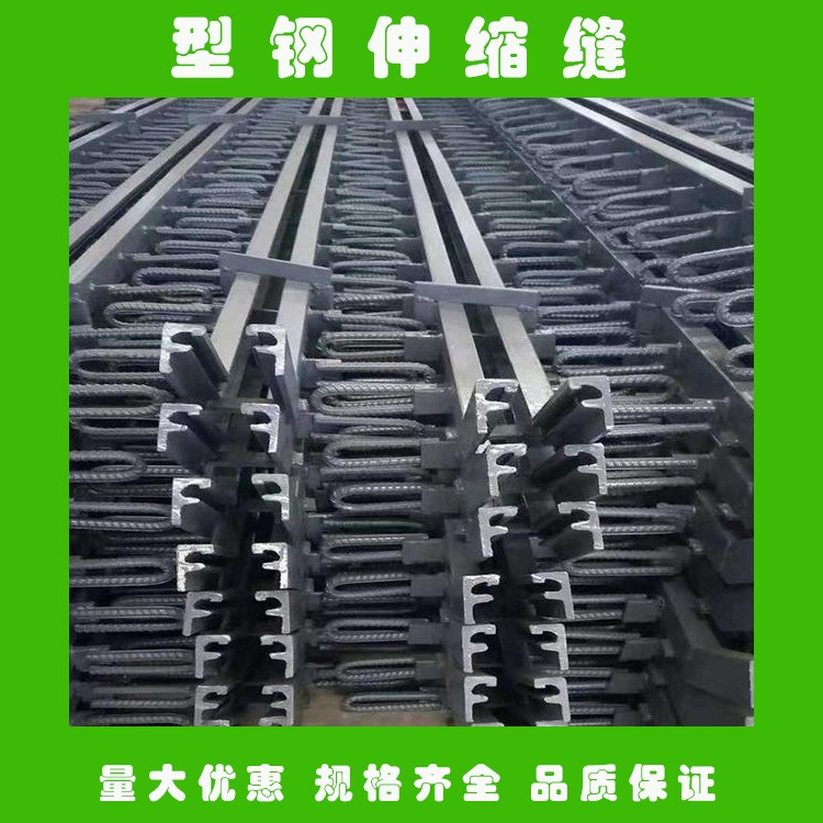 模数式桥梁快色视频下载APPD40与D80有何区别？